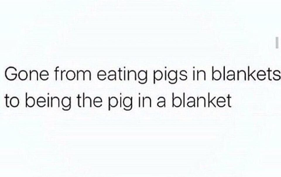 _chewitt4's tweet image. 🐷🐷