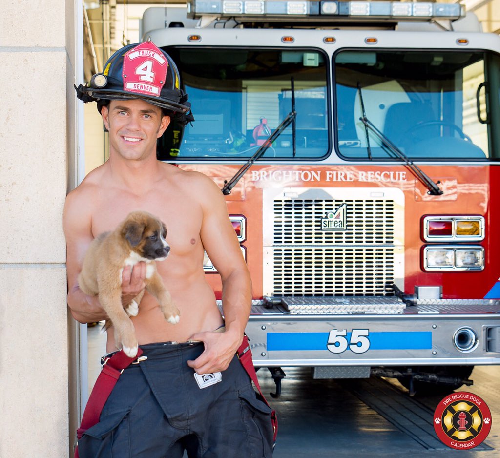 Fire Rescue Dogs tweet media