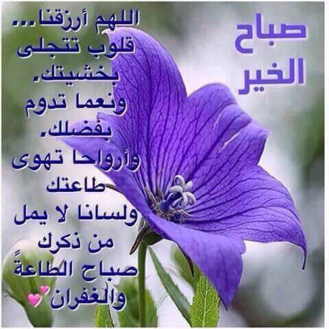 zamil_000's tweet photo. https://t.co/ECMGkHVrXi
