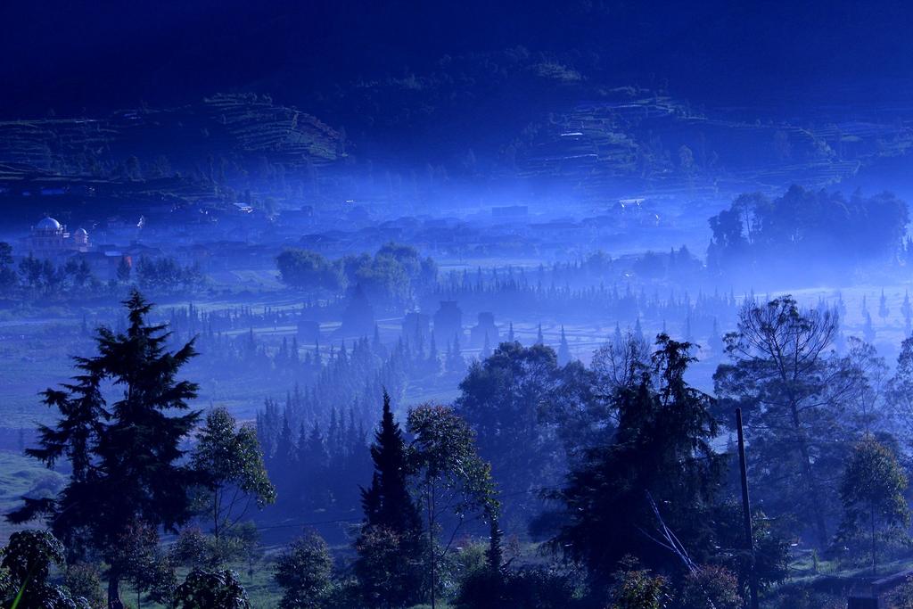 Tgl 31 Des 2015, kami akan meluncurkan #DiengCultureFestival2016 di atas musium Kailasa.