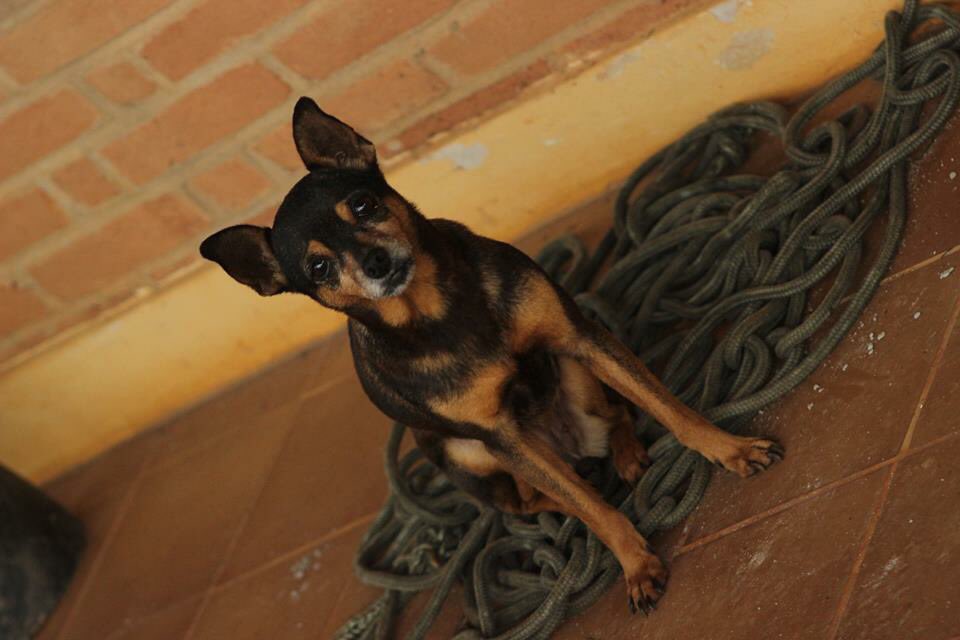 studiofstein's tweet image. Mel