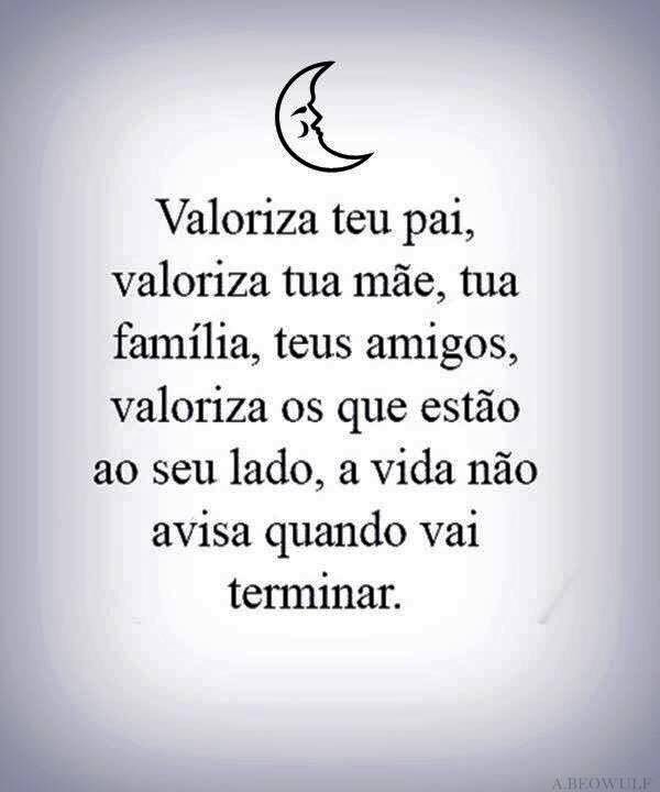 studiofstein's tweet image. 