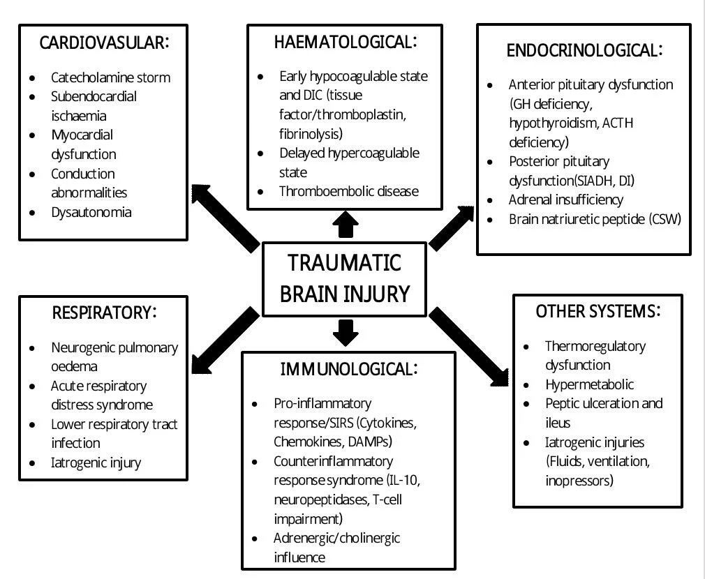 What Are The Common Complications Of Traumatic Brain Injuries What Are The Common Complications Of Traumatic Brain Injuries