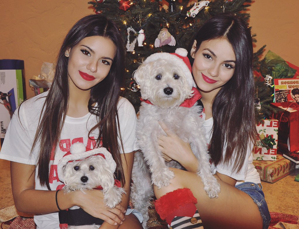 VictoriaJustice's tweet photo. Opening presents yesterday w/ @themadisongrace &amp; Santa's little helpers, Sammy&amp; Sophie. ❣🐶🎄 https://t.co/NVKKZk3oMf