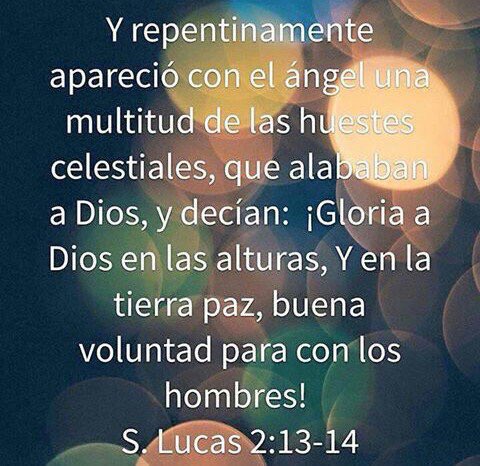 mariojordanp's tweet photo. https://t.co/1jniZvv9Df
