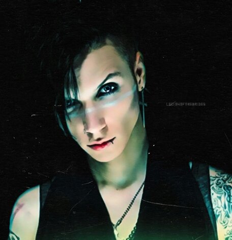 Andy Biersack I want to wish a Happy Birthday! Pasala incredible, you\re one of my idols   