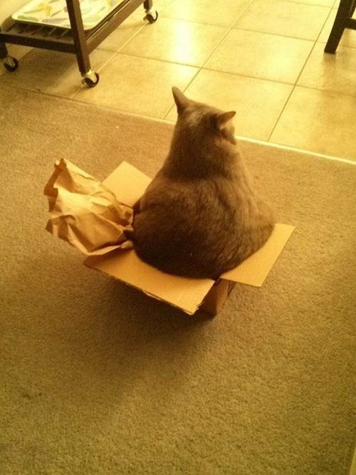 Roadhousevan's tweet photo. Happy Boxing Day!  We're closed, but check out our sister venues @RoxyVancouver @Belmont_Bar &amp; @Doolins https://t.co/X6SaGduqRI