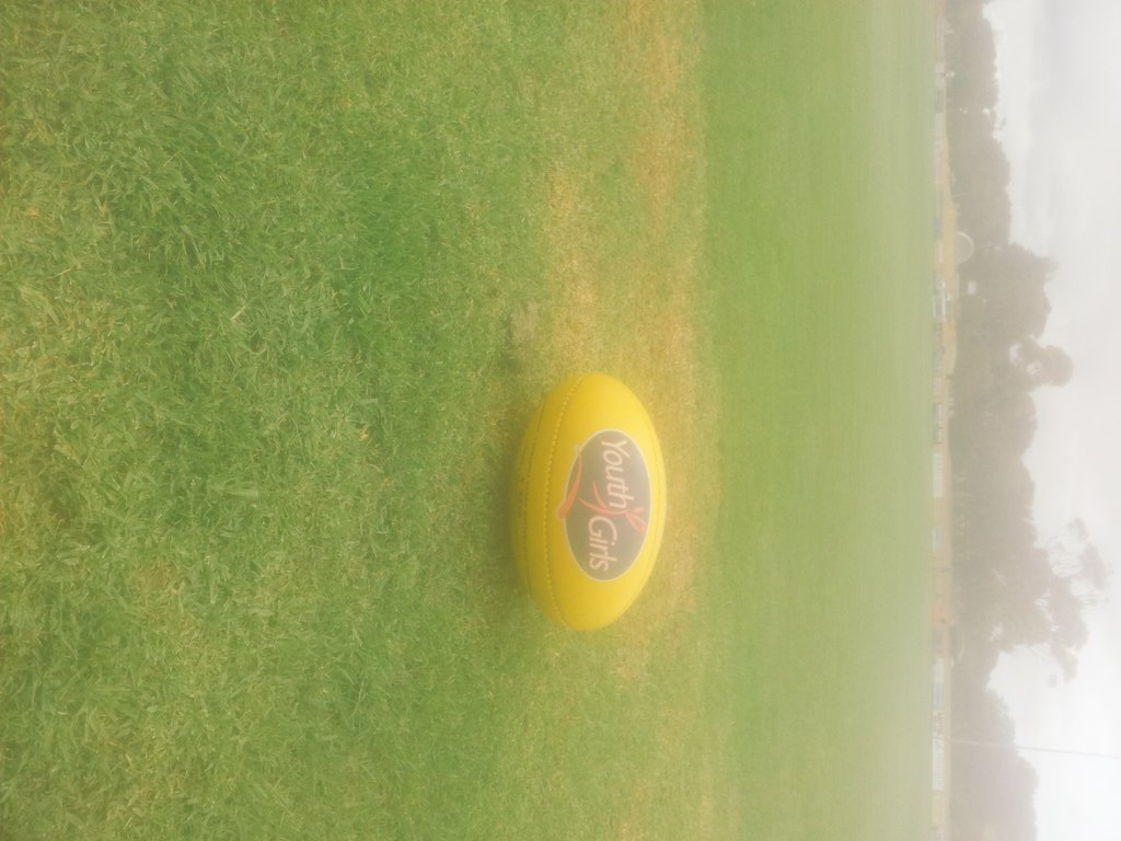 geewalks15's tweet photo. #w1session3 done and dusted! Agility, some kicking and s&c exercises with my new training buddy! #rayscave @TAC https://t.co/x0NMB7MreG