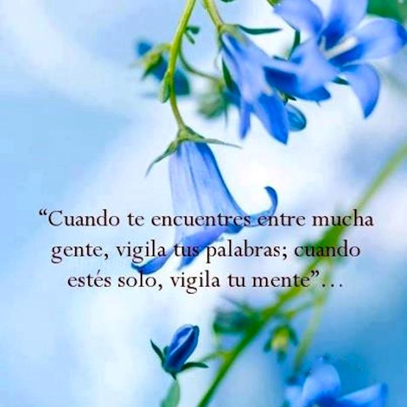 MerVivar tweet picture