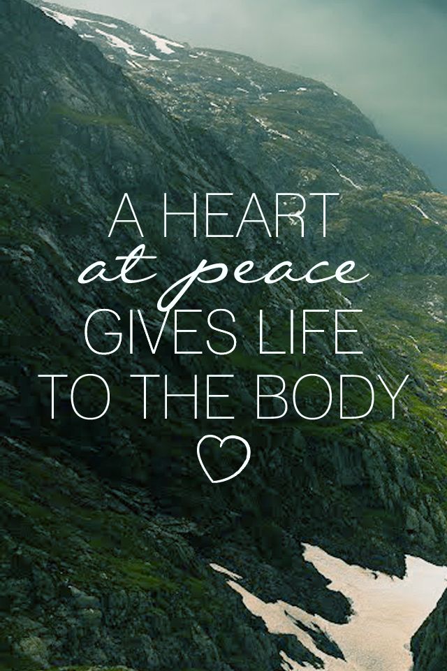 CivelloChicago's tweet photo. Find your peace at #CivelloSalon. https://t.co/z5md5ApnnB