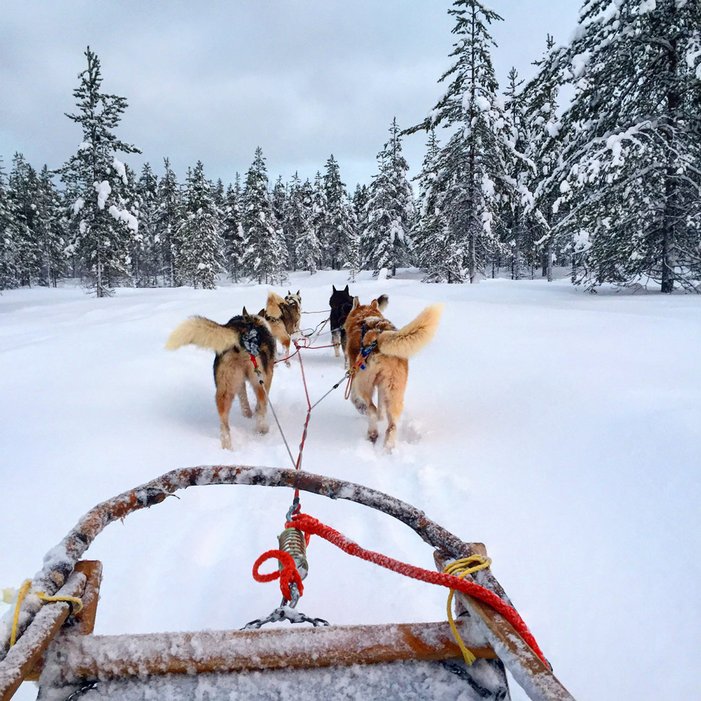 CNTraveler's tweet photo. When it comes to the perfect vacation, are you Team Sand or Team Snow? https://t.co/ev3XrEhRLv #SandVsSnow https://t.co/DcgDjlgeJw