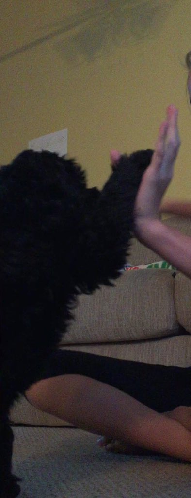 lilliandebb's tweet photo. I like tricks they amuse me! https://t.co/s1RaXJXV7B