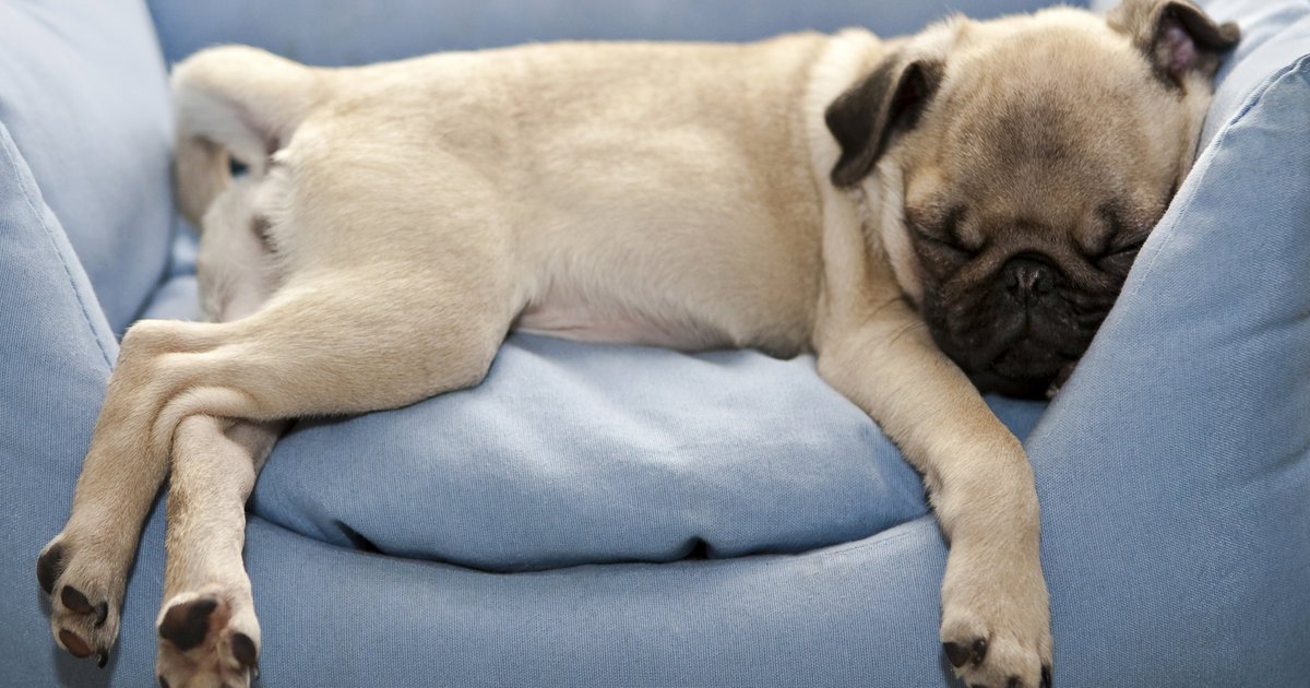 5 Things Everyone Gets Wrong About Napping puls.ly/ds_3wg #healthy