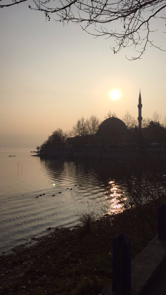 fatih ışık tweet media