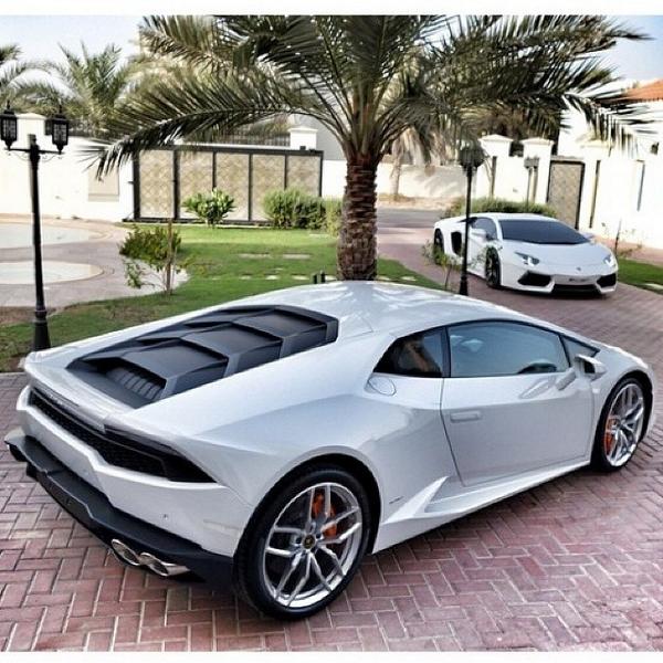 LUXURYPlCTURES's tweet image. These Lambos 😱💦