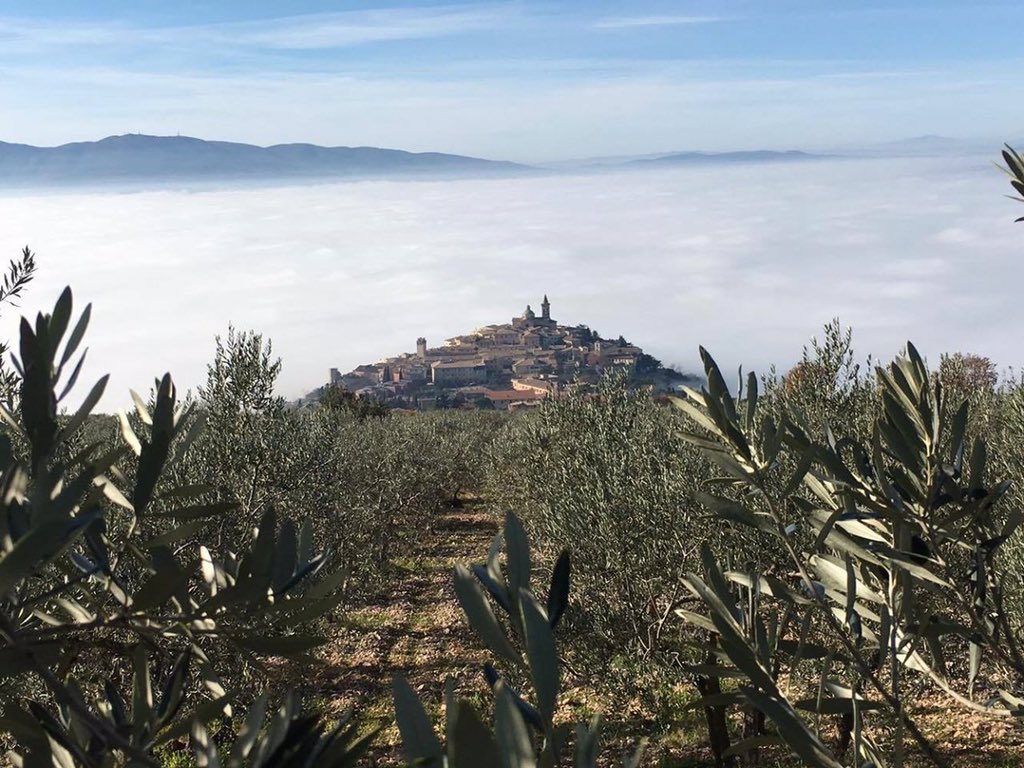 Why not Umbria tweet media