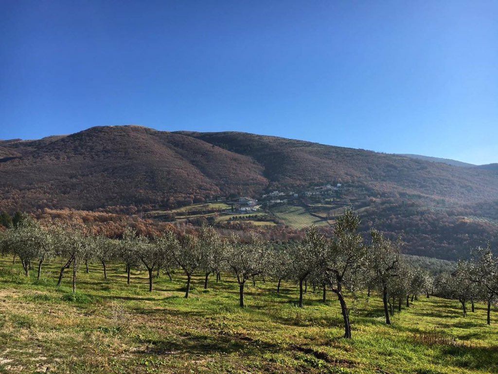 Why not Umbria tweet media