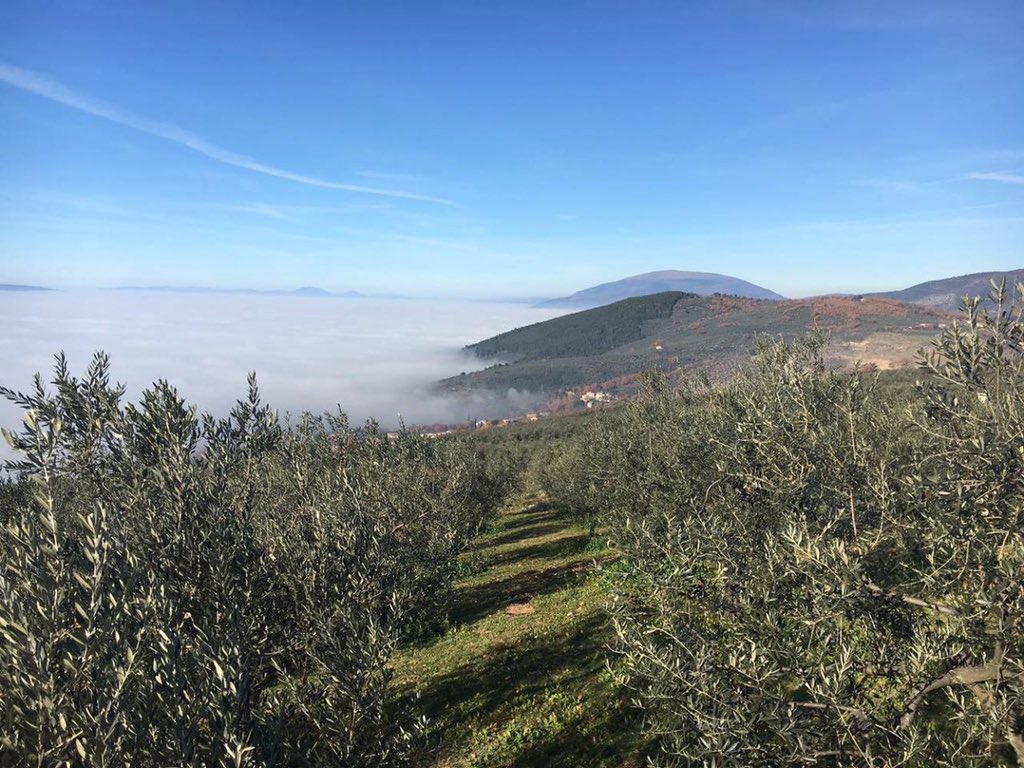 Why not Umbria tweet media