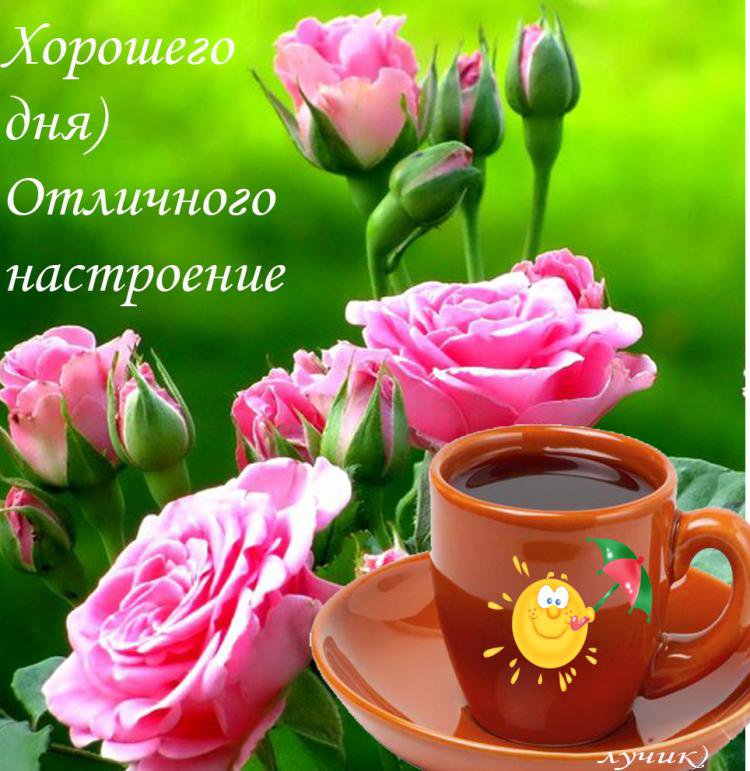 Попьем кофейку, открытки отличного дня и прекрасного