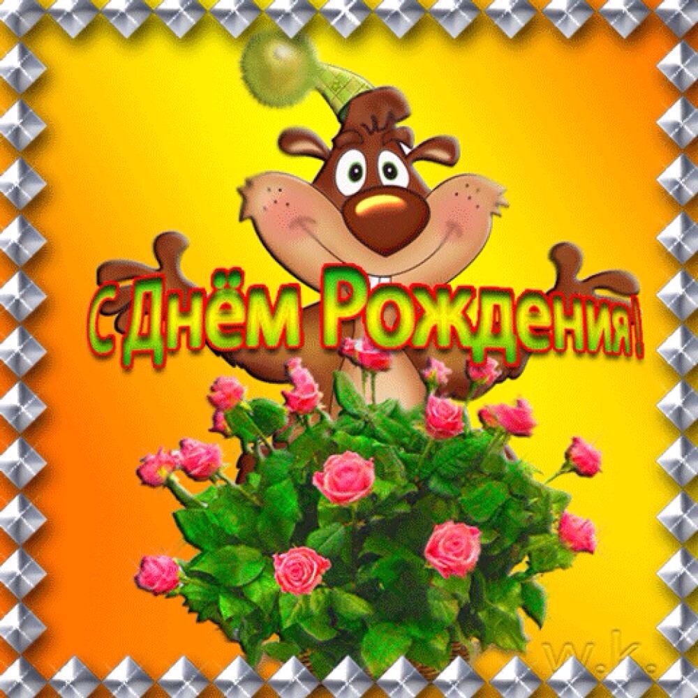 Прикольные анимация картинки с днем рождения, почтовых открыток