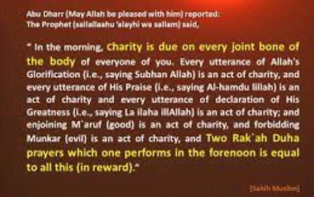 wadhakkir's tweet photo. Duha Prayer

#HadeethGems https://t.co/EAI897q0SA