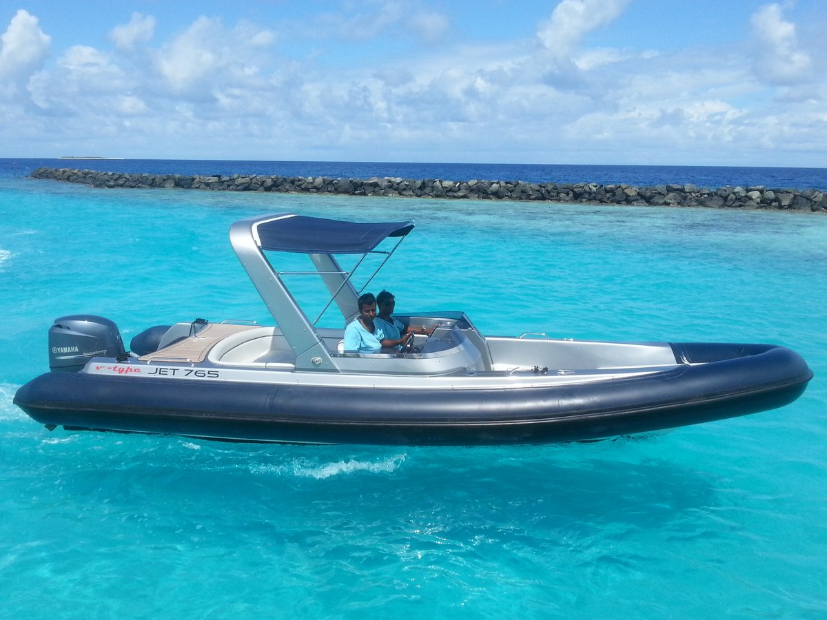 v-type bespoke ribs (@luxury_ribs) / Posts / X