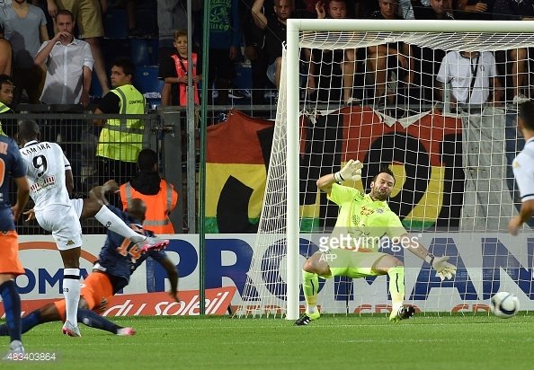 passionsco49's tweet photo. #MonAnneeFoot2015 (2/2) - Le SCO de retour en Ligue 1. #AngersEnL1 #TeamSCO https://t.co/9v1BeabRqi