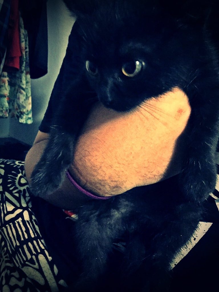 grfty134's tweet image. Ao Nang, Thailand. #cats