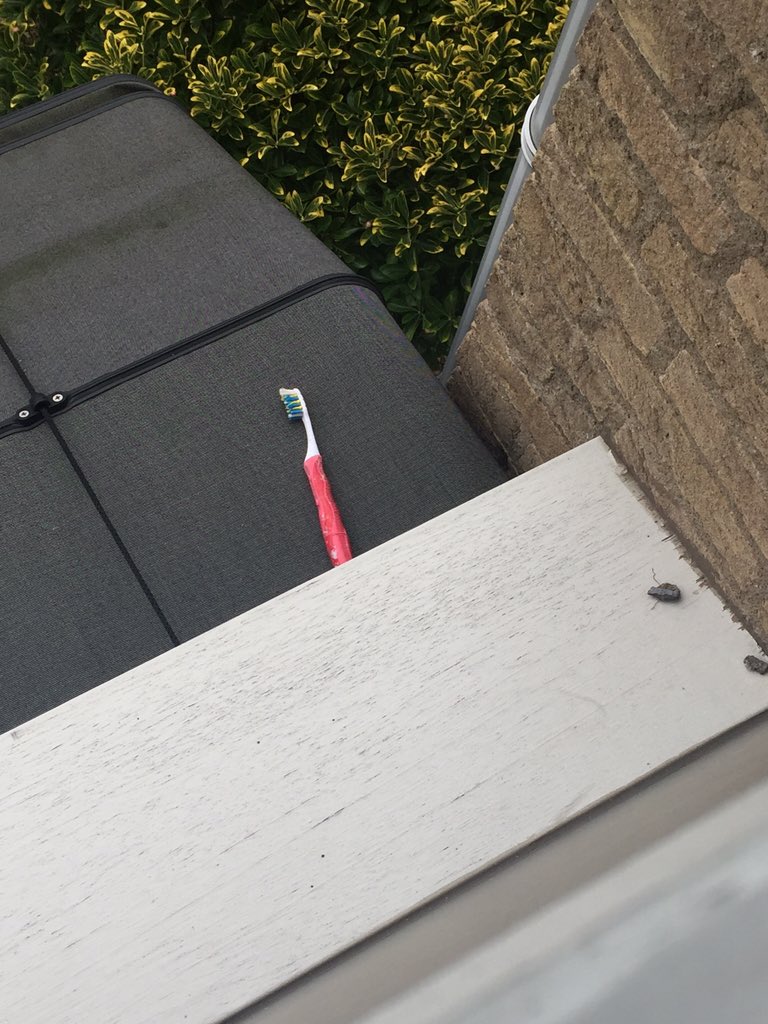 5SOHelping's tweet photo. if you ever feel sad,just remember that i threw a toothbrush out of my window at 4am landed on a thing now its stuck https://t.co/GiGTNjPLXL