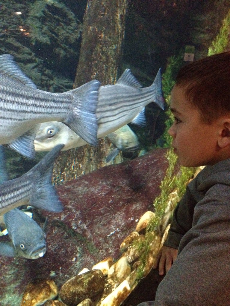 SarahCodyMedia's tweet photo. .@CabelasFish #TweetTheFish https://t.co/gy008iCgcJ