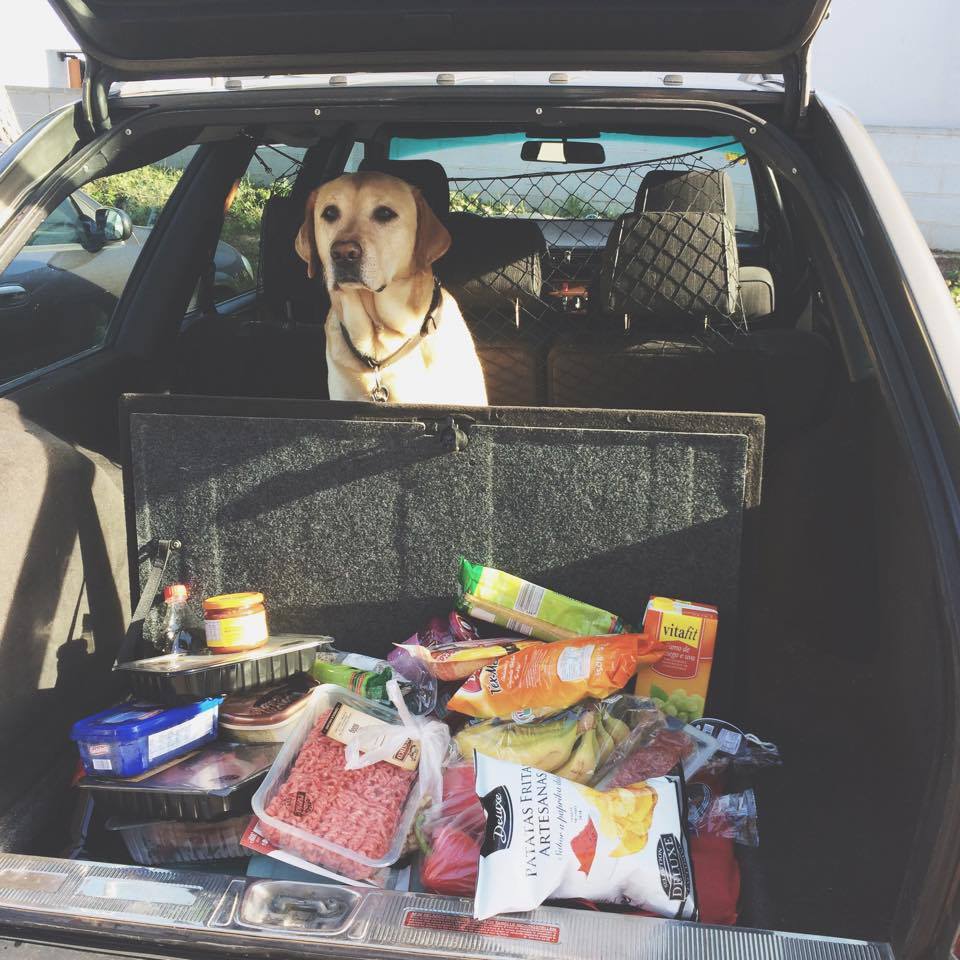 asolermusic's tweet photo. Good morning! Oliver likes to sell groceries on Sunday #sundays https://t.co/jNHxrSRzar