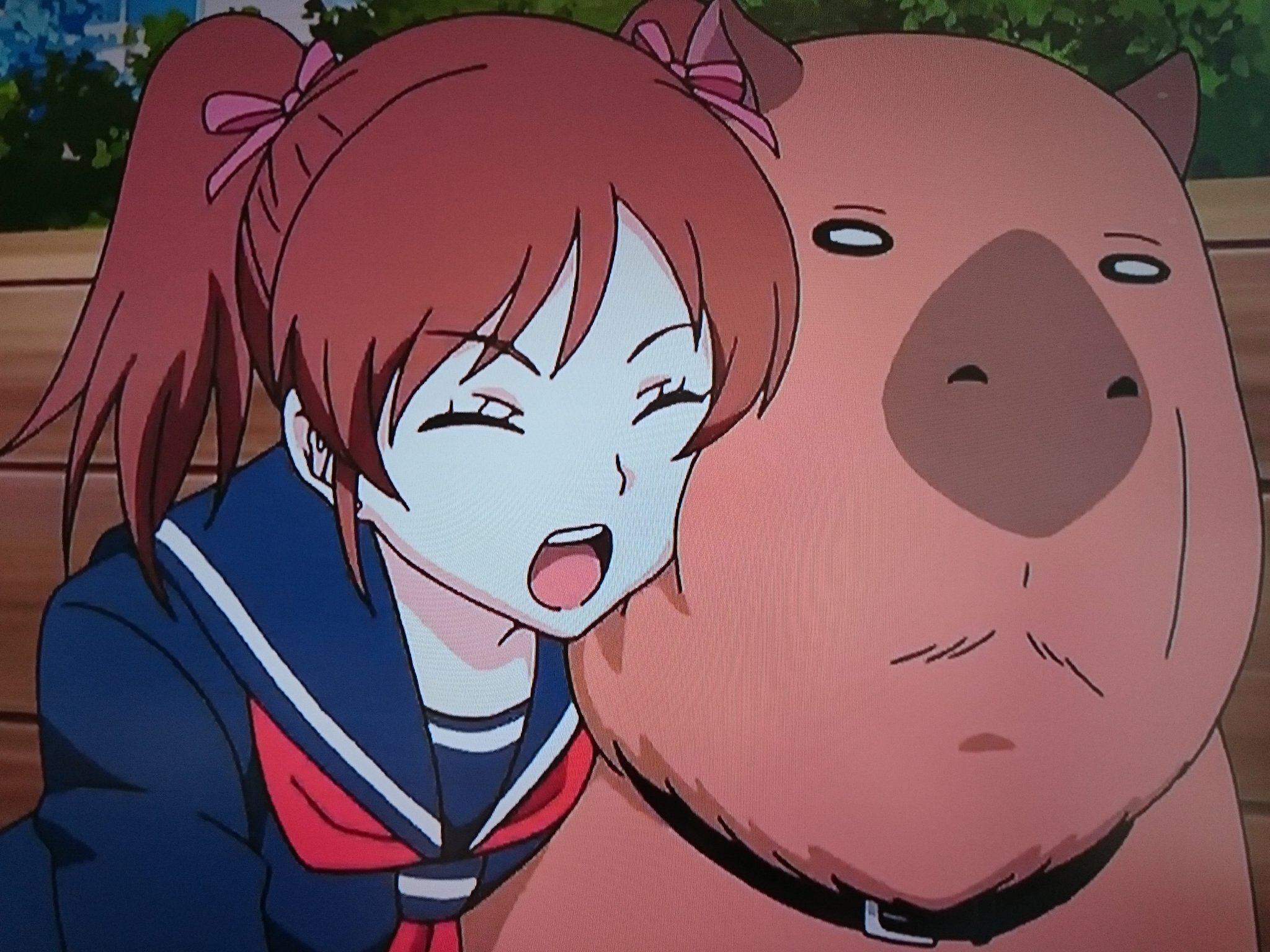 からしマヨ Pile 担当 ラブライブ 西木野真姫 ｲﾐﾜｶﾝﾅｲ ワールドトリガー 武田心愛 もふもふもー ๑ イメージが180度変わった今日であった 笑 T Co 2fecpll4d8 Twitter