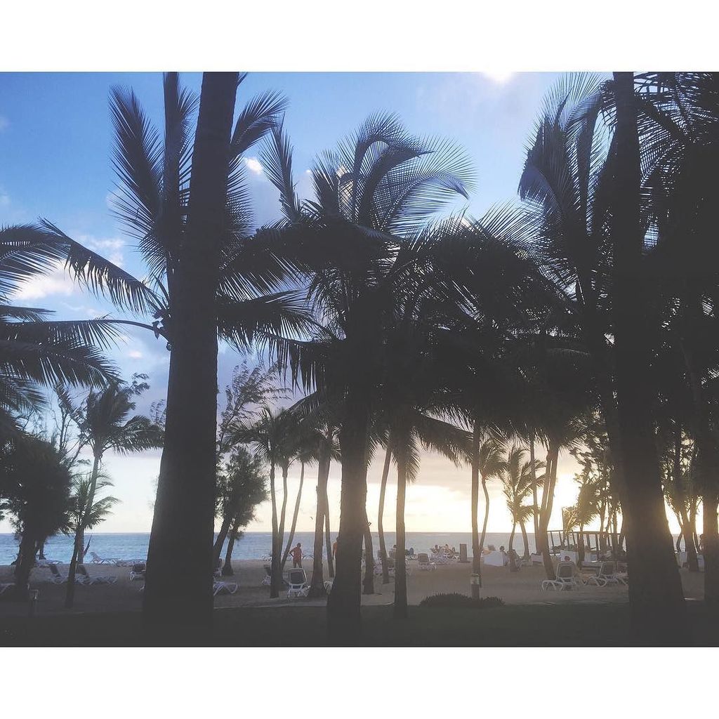 Julie_no333's tweet photo. View from our Mauritius bedroom... ๐ด๐ด Happy holidays season guys! #mauritius #cocktailwithaview #coconutstyle https://t.co/bwpehpY7xs