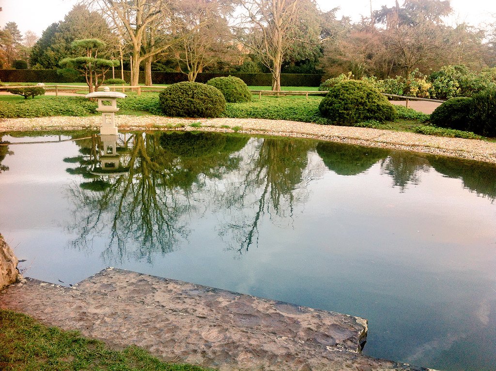 J_Photography_M's tweet photo. ☺️ Ein Spaziergang 🚶 im #AuqaZoo in #Düsseldorf #JapanischerGarten 🎎 https://t.co/rBwdtMvqvg