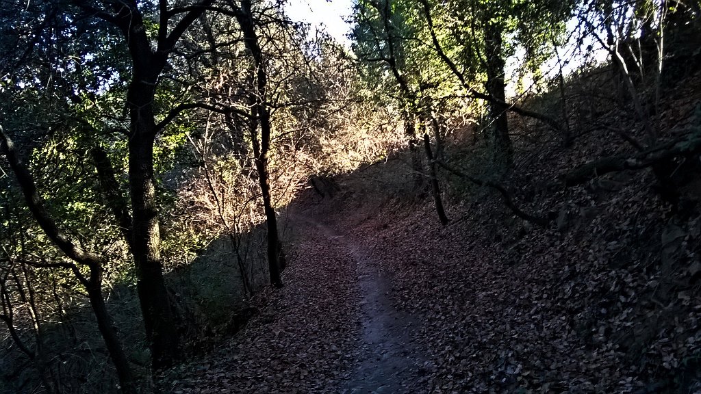 Aquí Tona (@aquitona) on Twitter photo 