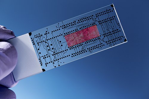 Genetic Engineering & Biotechnology News tweet media