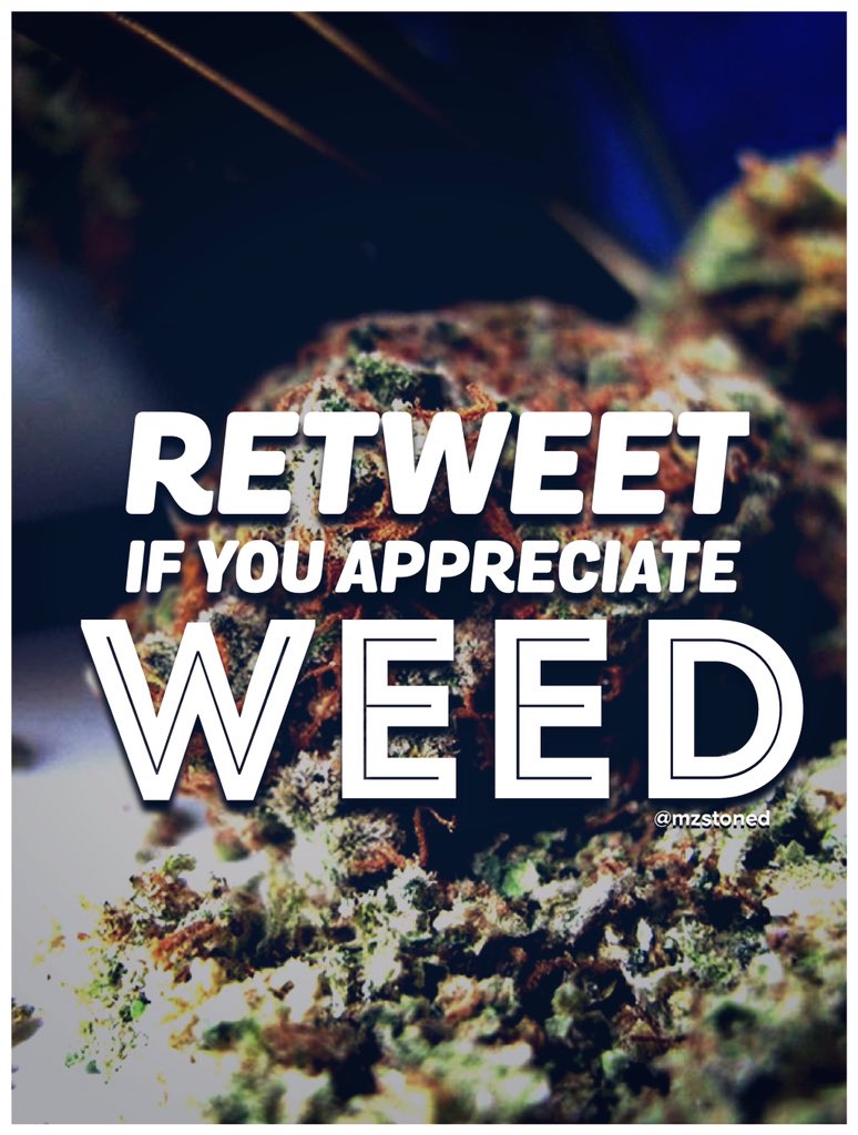 Mz Stoned tweet media