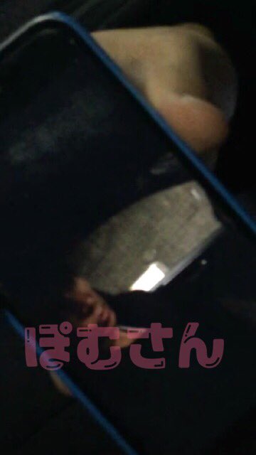 morepom's tweet photo. 人類の奇跡♡♡♡♡♡ https://t.co/C03TNZZSEA
