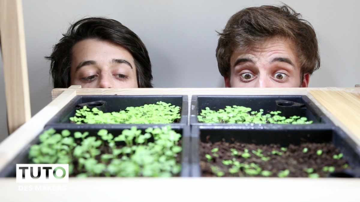 FUTUREMAGfr's tweet photo. #TutoDesMakers : Fabriquer un potager sur son... étagère. Pratique, non ?
https://t.co/5wsHty9ZJp
#DIY https://t.co/24kJAFXRic