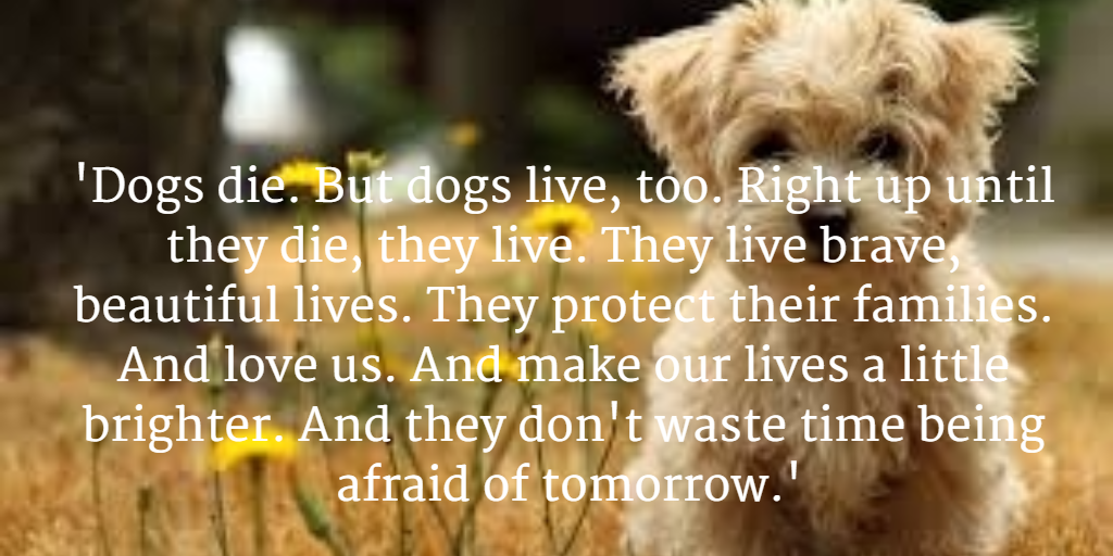 #CanineCareWithMarcTheVet
buff.ly/1IaRwPL