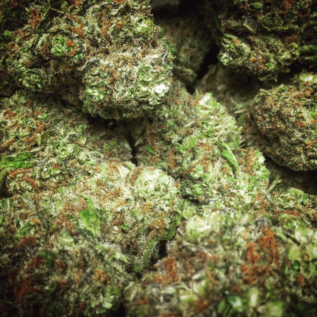 QualittyChoice's tweet photo. #Nonmembers get #member #pricing on #flower #TODAY! #SundaySpecial #QualityChoice #qualityflower #qualitybud https://t.co/WhhQ9cHEol