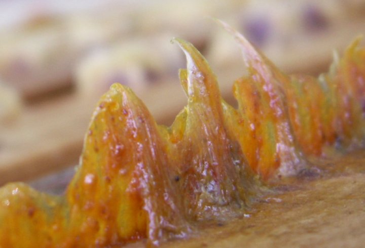 Dünyanın en güçlü antioksidanı buff.ly/1YKq9yj