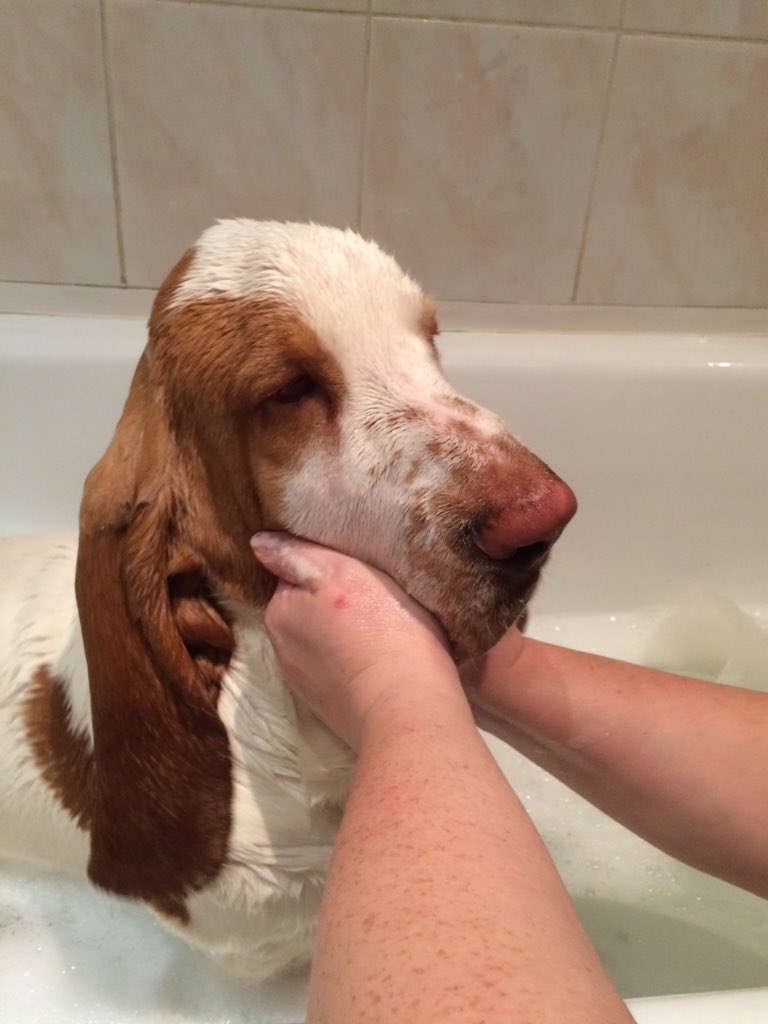 Christmas bath #hatewater