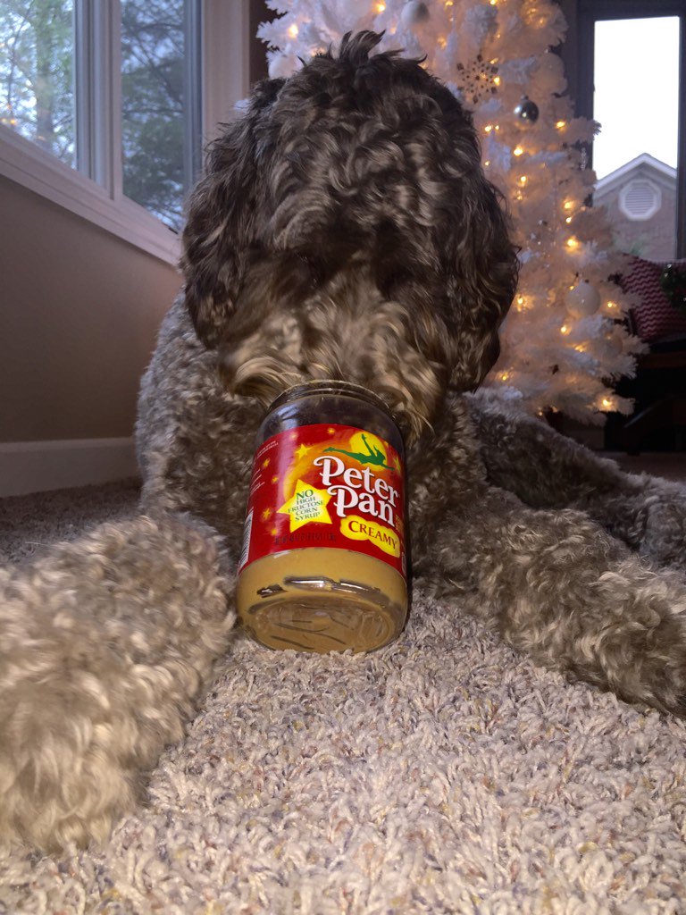 EllenLewis3's tweet photo. Whoever said Folgers to the last drop didn't know what they were talking about.... #peterpanpeanutbutter LINCOLN https://t.co/QptGAkIWHq