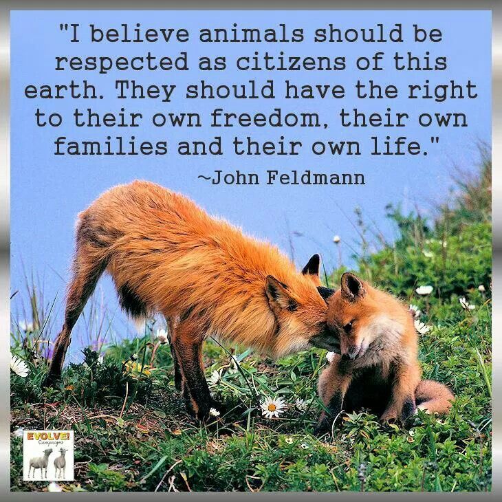 SaveWildlifeGa tweet picture
