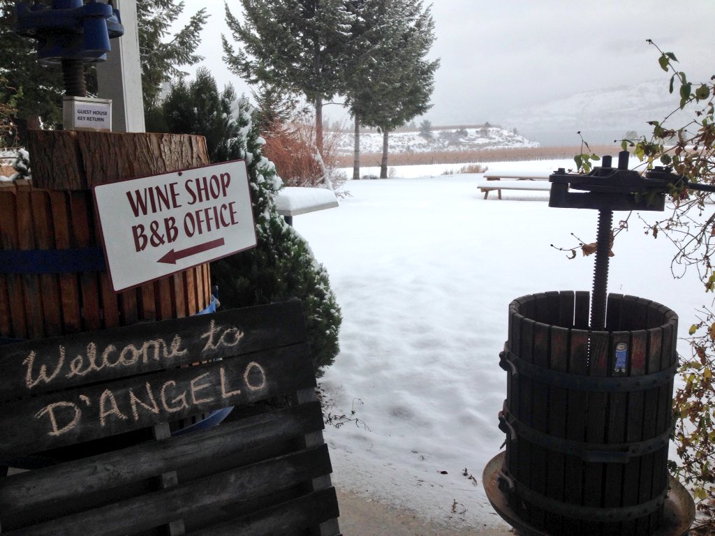 <a href="/dangelowinery/">D'Angelo Winery</a> 1st stop on our #WinterWineTour to <a href="/naramatawines/">Naramata Bench Wines</a>. Loving the Pinot Noir!