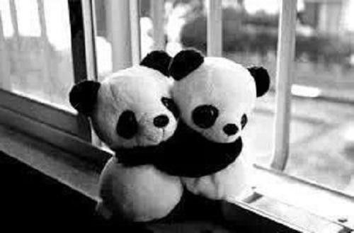 liiz3208's tweet photo. @soyjuansolo me encantas mucho estas mega guapo 

Quiero ser un oso panda jajaja https://t.co/Dw24eCIDgY