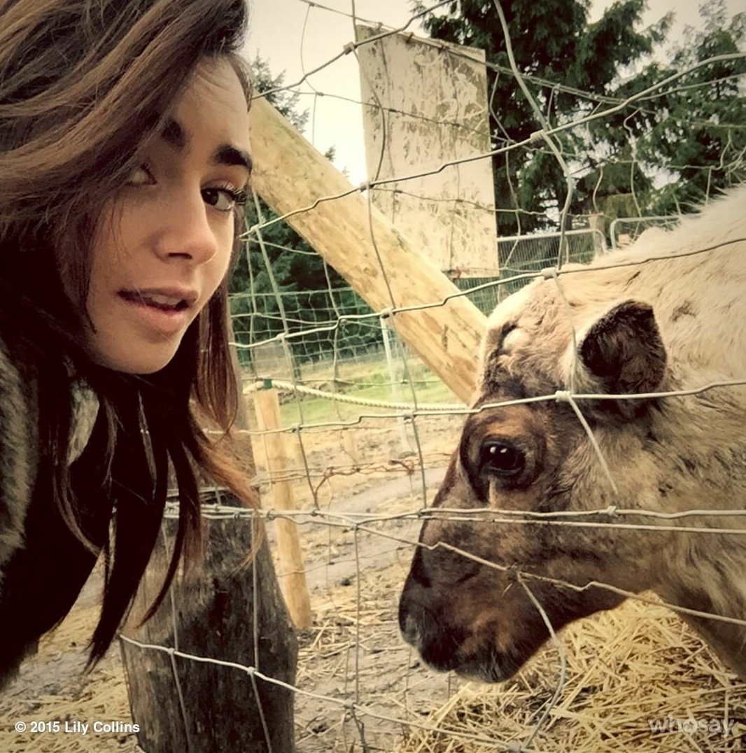 LCollins_SP's tweet photo. Who's the animal? https://t.co/3k5ZHiisyA