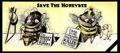 urbgardenersrep's tweet image. Save the bees! Please RT if your agree!😄 #bees #nature