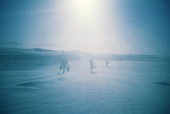 Playaproducts's tweet photo. “A desert is a place without expectation.” 
- Nadine Gordimer
#playalife
📷 @alison_scarpulla https://t.co/mnyiRGXfqU